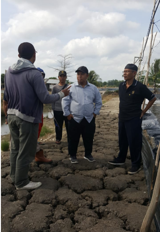 Kerjasama WWF dan Rare