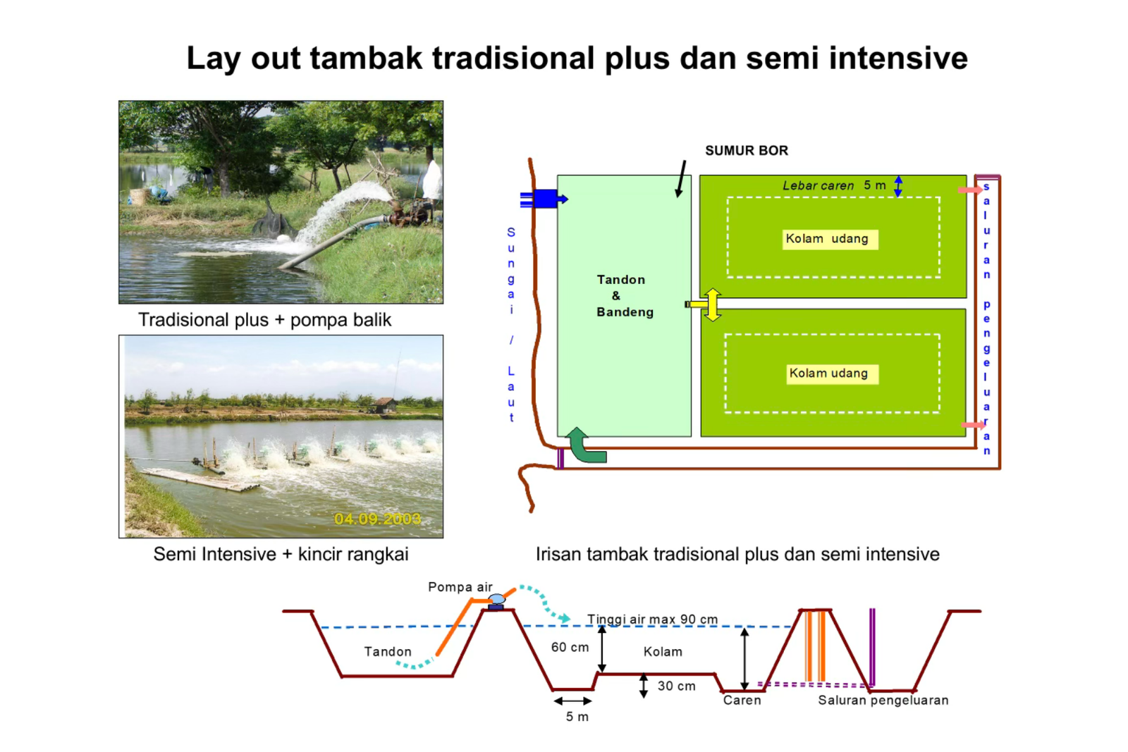 Layout Tambak
