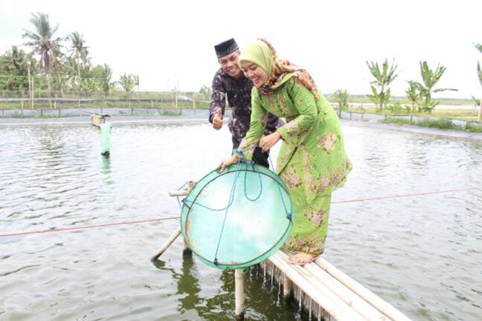 Program KUR Lampung Timur