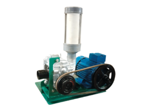 Ring Blower Alpha 1 HP 3 Phase