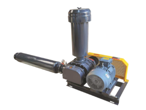 Roots Blower Alpha 10 HP 3 Phase