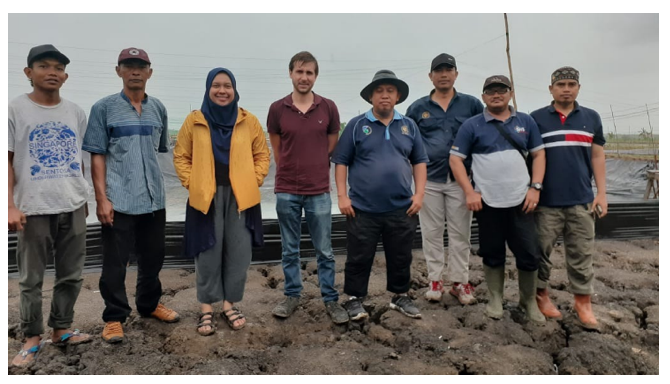 Program Monitoring Tambak